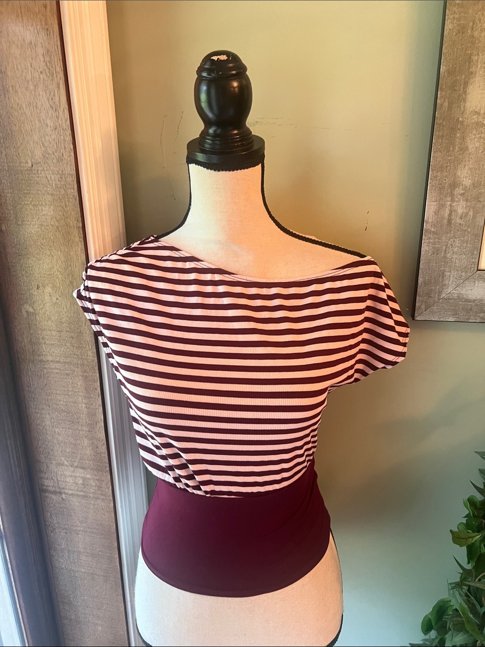 Striped Boatneck Crop Top in Burgundy and pink